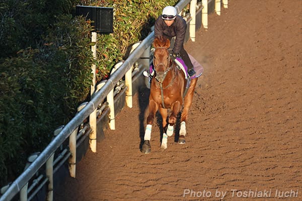 R 11R AJWbL[NuCy_mfTCz