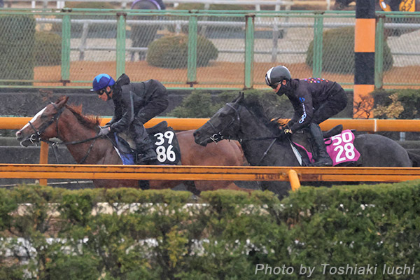 35()EICv@fBlXy13.6bA11.3bA11.1bz