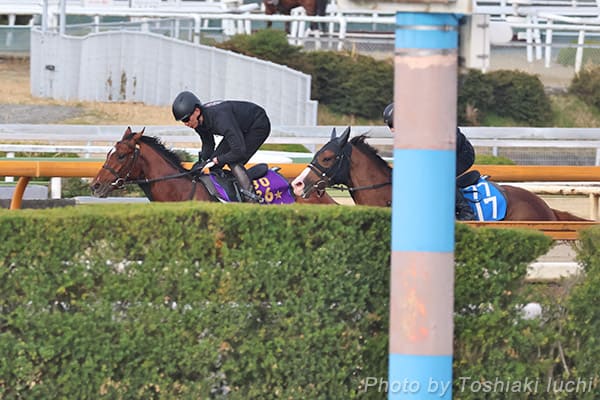 R 11R j[W[hTyAh}CY[z