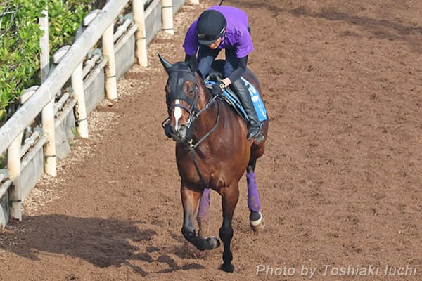 423()EIH@WXeBXJCy850z