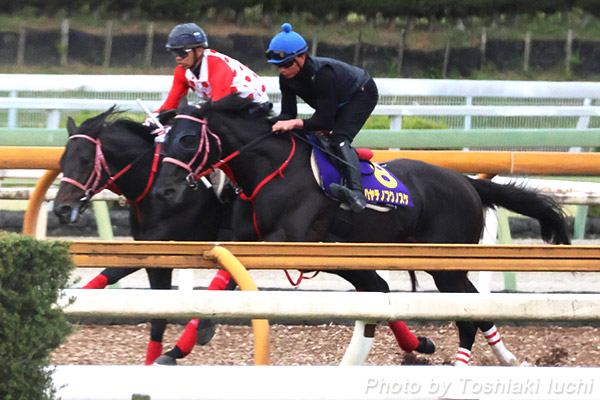 s 11R Vc܏tynemtNmXPz