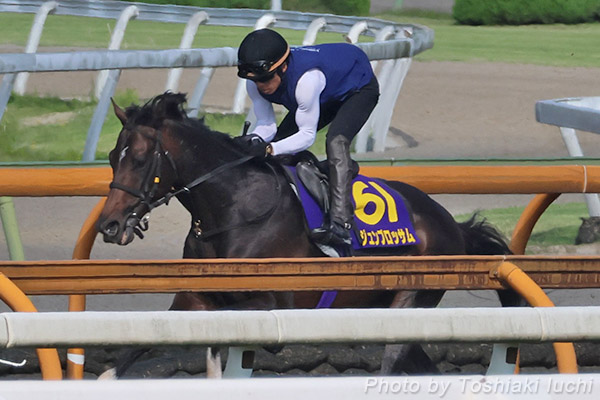 528()EICW@WubTy14.5bA11.7bA10.9bz