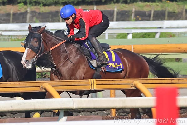 65()EICW@[Vp[Ny13.2bA13.4bA13.3bA12.7bA11.3bA11.3bz