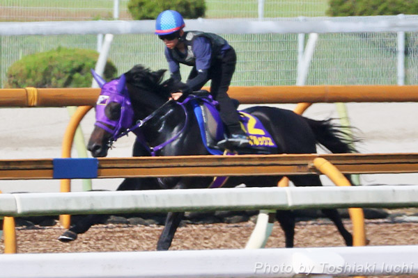 R 11R Xv^[YryyA|bNXz