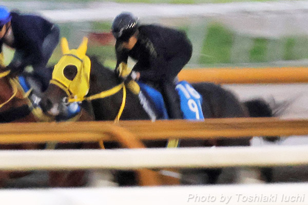 _ 11R |[gAChSyu[~fUCz