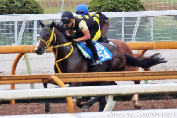 s 12R 3Ώ1byT[i[eBIz