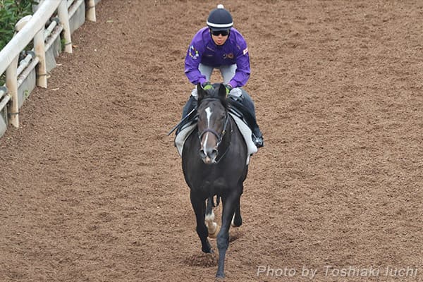 京都 5R 2歳新馬【エムズビギン】 京都 5R 2歳新馬【エムズビギン】