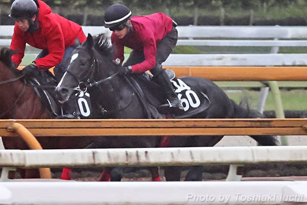 京都 9R 萩S【バドリナート】 京都 9R 萩S【バドリナート】