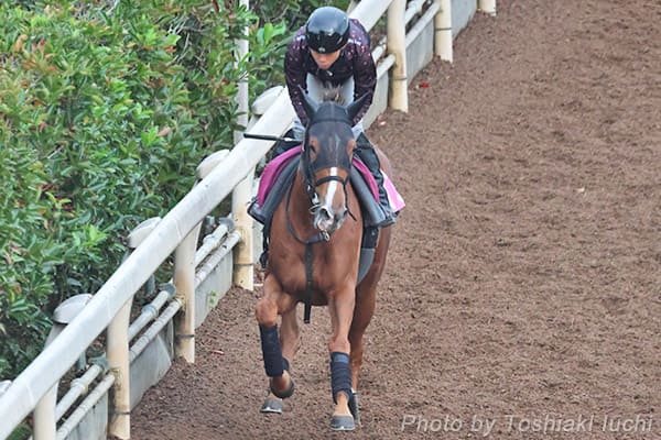 s 11R t@^W[SytFXeBoqz