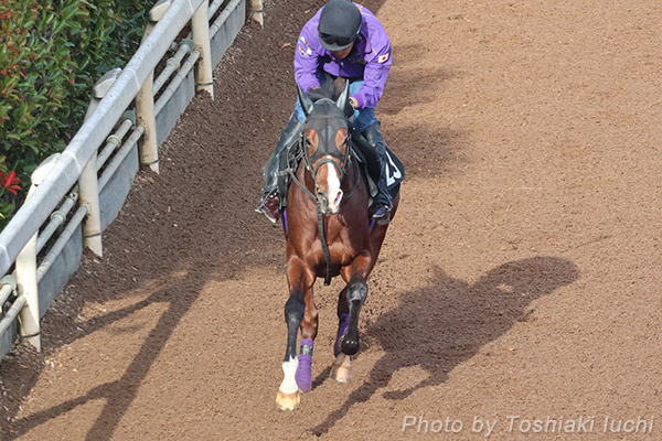 s 11R fC[t2SyAh}CNbYz