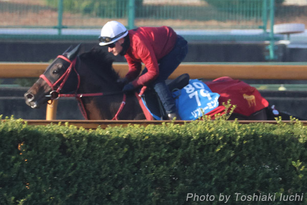 中京 11R 中日新聞杯【リフレーミング】 中京 11R 中日新聞杯【リフレーミング】