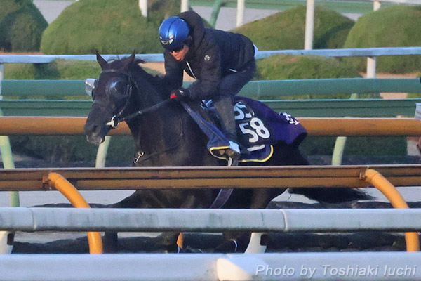 阪神 9R エリカ賞【ベレシート】 阪神 9R エリカ賞【ベレシート】