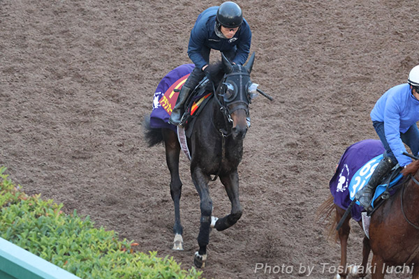 阪神 11R 阪神JF【アランカール】 阪神 11R 阪神JF【アランカール】