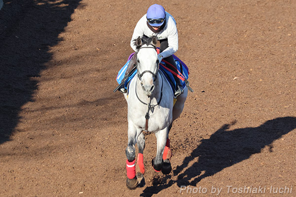 中京 11R コールドムーンS【ナイトアクアリウム】 中京 11R コールドムーンS【ナイトアクアリウム】