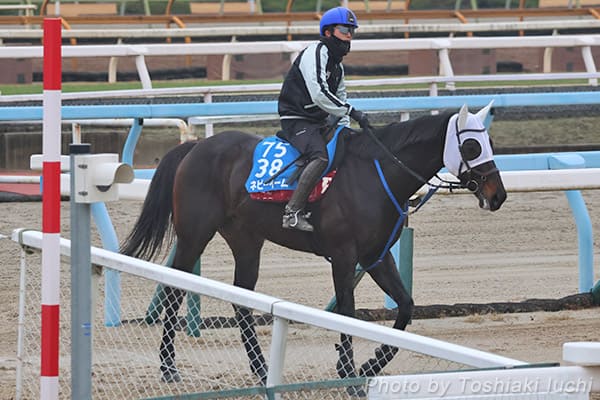 中山 10R 中山大障害【ネビーイーム】 中山 10R 中山大障害【ネビーイーム】