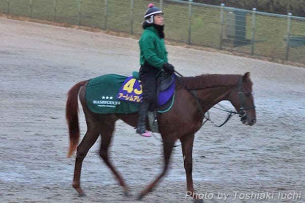 中山 11R ホープフルS【アーレムアレス】 中山 11R ホープフルS【アーレムアレス】