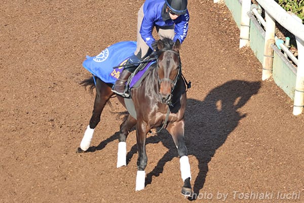 中山 11R 有馬記念【ミュージアムマイル】 中山 11R 有馬記念【ミュージアムマイル】