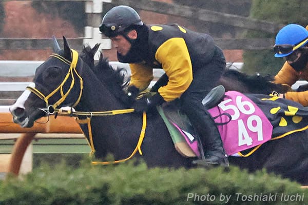 京都 5R 2歳新馬【ウィスカーパッド】 京都 5R 2歳新馬【ウィスカーパッド】