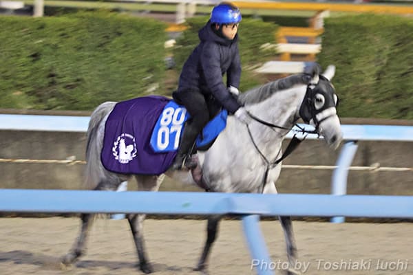 京都 11R 京都金杯【ヤマニンサンパ】 京都 11R 京都金杯【ヤマニンサンパ】