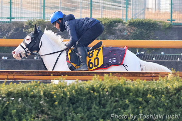 京都 12R 4歳上1勝C【ゴージャス】 京都 12R 4歳上1勝C【ゴージャス】