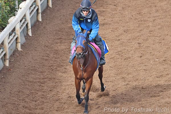 京都 10R 紅梅S【テイエムスティール】 京都 10R 紅梅S【テイエムスティール】