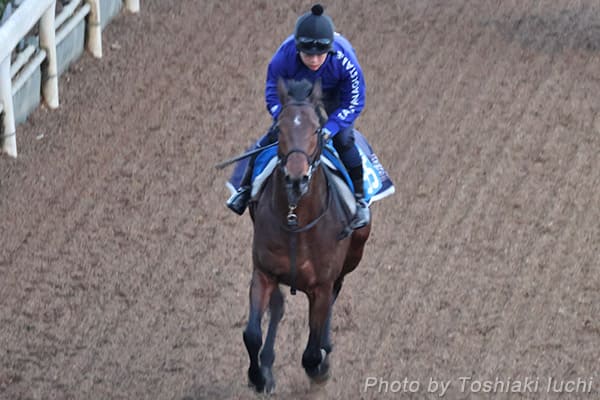 京都 11R プロキオンS【テーオーパスワード】 京都 11R プロキオンS【テーオーパスワード】