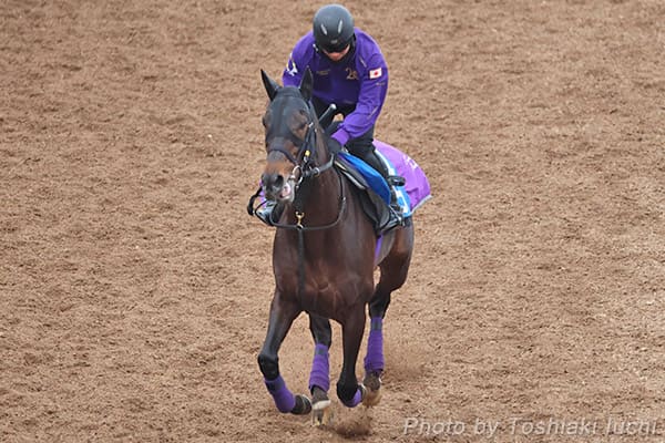 ���� 11R ���x�mS�y�Z���V�I���z