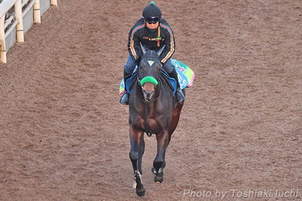 ���� 11R ����S�y�G���y���[���P�A�z