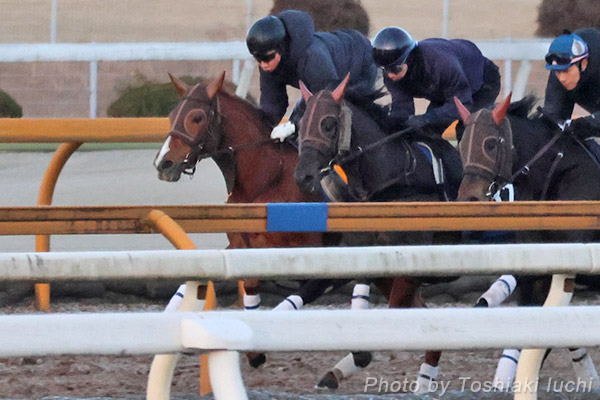 ���s 11R �V���N���[�hS�y�A�u�L�[���x�C�z