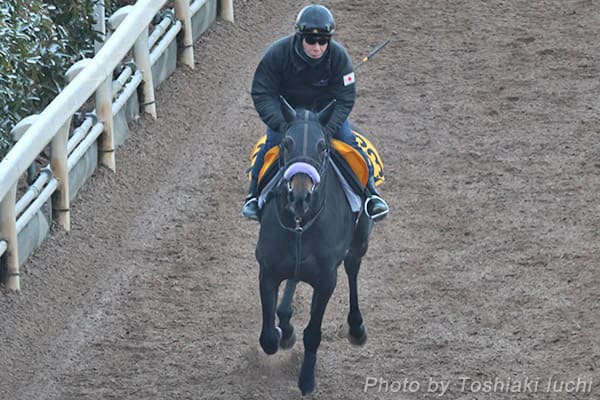 ���s 11R ���zS�y�����{�j�[�g�z