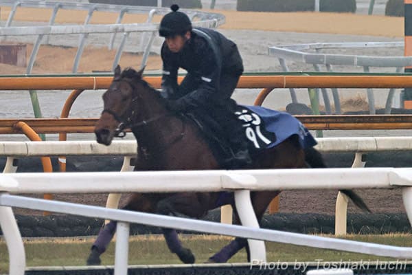 ���� 11R �����ʐM�t�y�����F�j���[�z