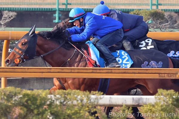 ���s 11R ���s�L�O�y�t�@�E�X�g���[�[���z