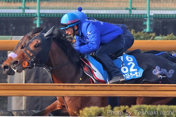 東京 11R ダイヤモンドS【ファウストラーゼン】 東京 11R ダイヤモンドS【ファウストラーゼン】