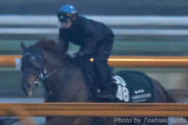 阪神 9R すみれS【アーレムアレス】 阪神 9R すみれS【アーレムアレス】