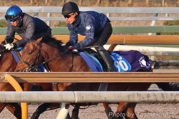 阪神 11R 阪急杯【ディアナザール】 阪神 11R 阪急杯【ディアナザール】