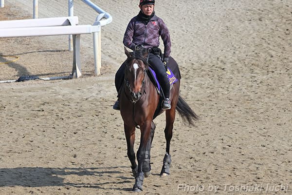 東京 11R フェブラリーS【ラムジェット】 東京 11R フェブラリーS【ラムジェット】