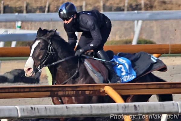 小倉 11R 小倉大賞典【マテンロウオリオン】 小倉 11R 小倉大賞典【マテンロウオリオン】