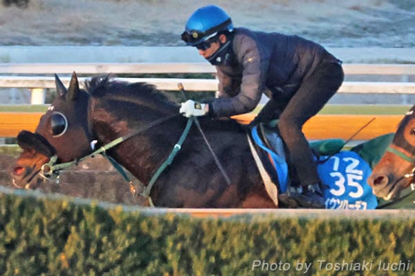 ���R 11R ���R�L�O�y�Z�C�E���n�[�f�X�z