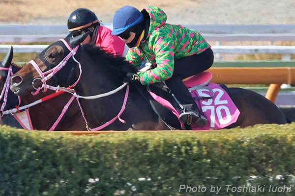 ��_ 11R �`���[���b�v�܁y�^�C�Z�C�{�[�O�z