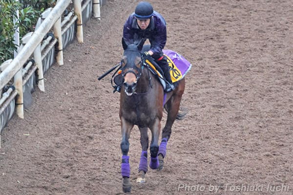 ���R 11R ���R�ĔnS�y�t���~���O�t�[�v�z