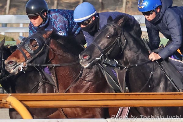 ���R 11R �X�v�����OS�y�T�E���h���[�u�z