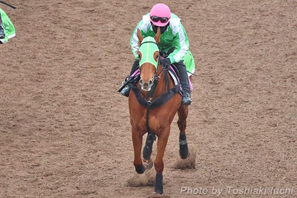 ��_ 5R 3��1��C�y�R�X�����b�h�z