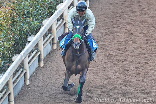 ���� 11R ���͏܁y�W���o���j�z