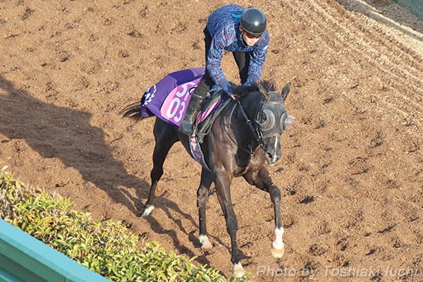 ���R11R�@�t�����[C�y�J���y���\�i�z