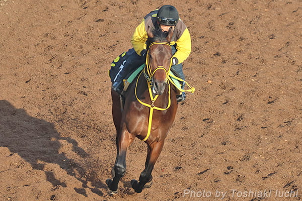 ����11�q�@�t�@���R���r�y�^�}���C�J���X�z