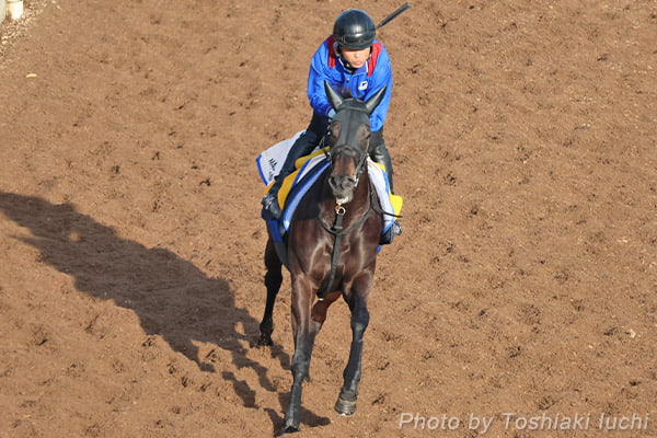 ����11�q�@���m�t�y�A�C�T���T���z