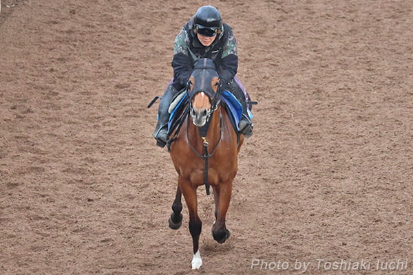 ��_11�q�@��_��ܓT�y�t�@�~���[�^�C���z