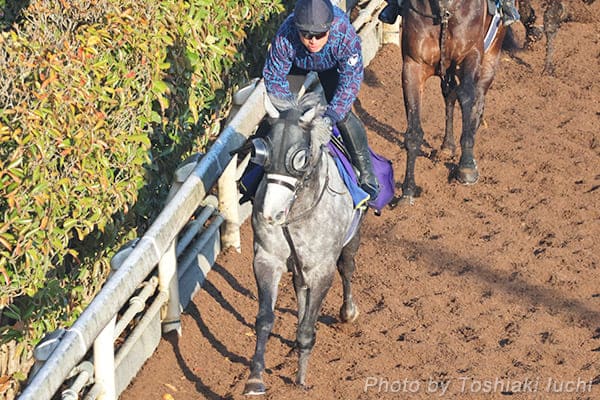 ���� 11R �����{�L�O�y���}�j���A�����t���z