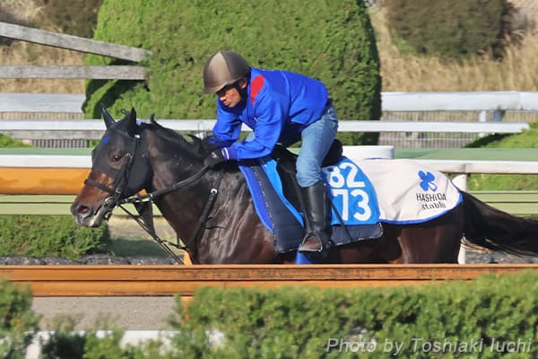 阪神 10R 大阪-ハンブルクC【アマキヒ】 阪神 10R 大阪-ハンブルクC【アマキヒ】