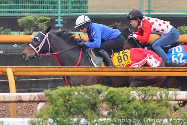阪神 11R 阪神牝馬S【ラヴァンダ】 阪神 11R 阪神牝馬S【ラヴァンダ】